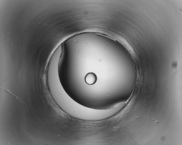 X0000103290908200809191827