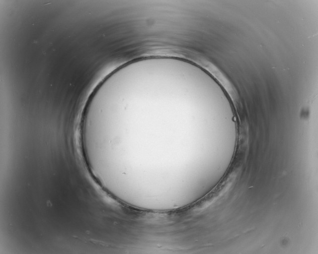 X0000103290909200809191827