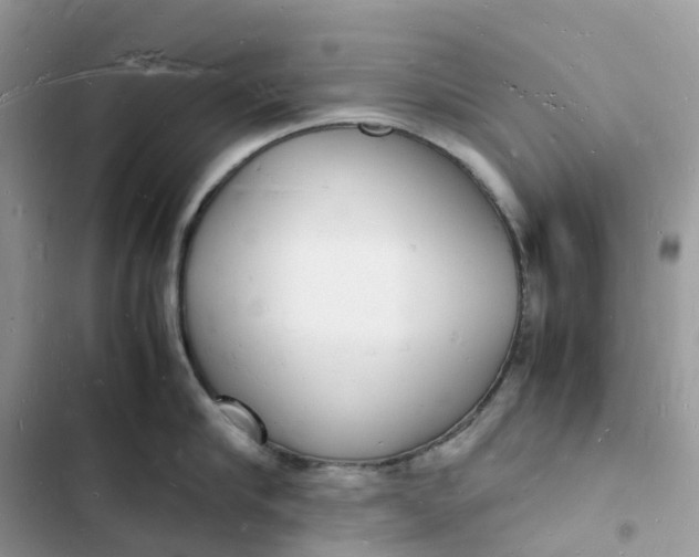 X0000103290910200809191827