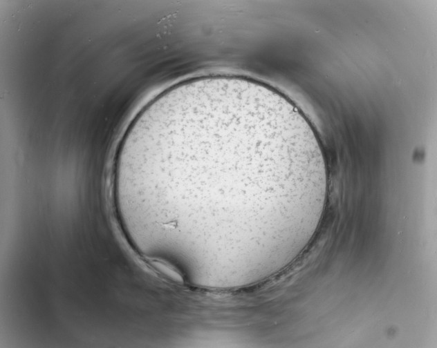 X0000103290911200809191827