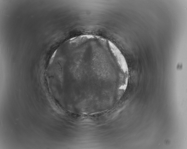 X0000103290913200809191826