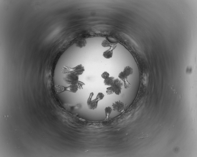 X0000103290915200809191826