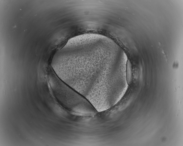 X0000103290916200809191826