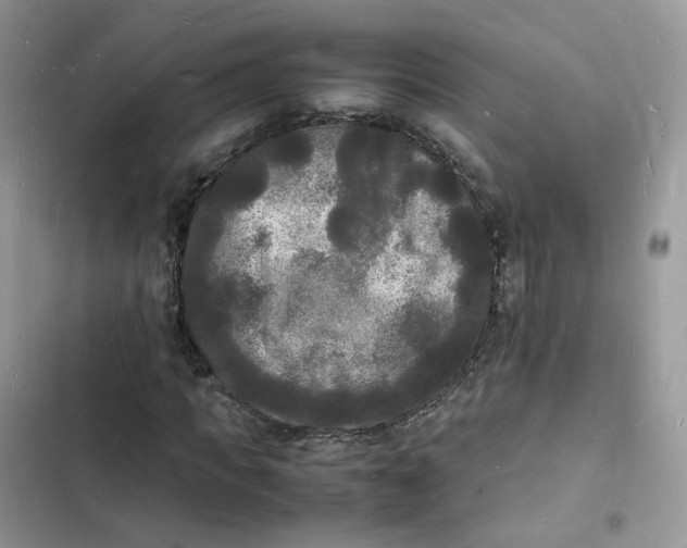 X0000103290917200809191826