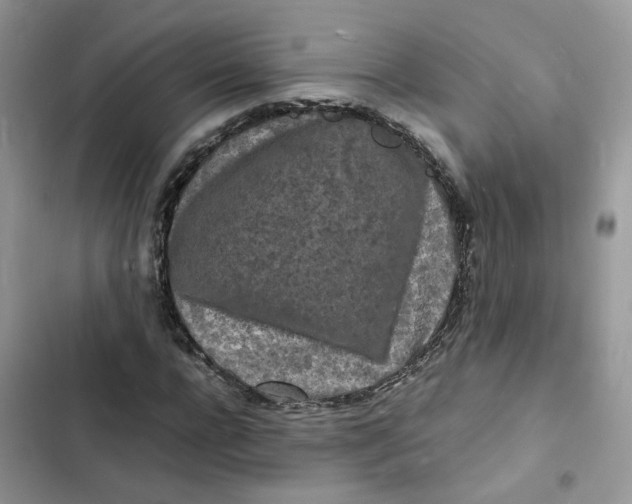 X0000103290920200809191826