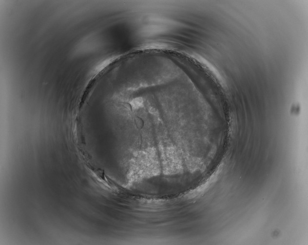 X0000103290921200809191826