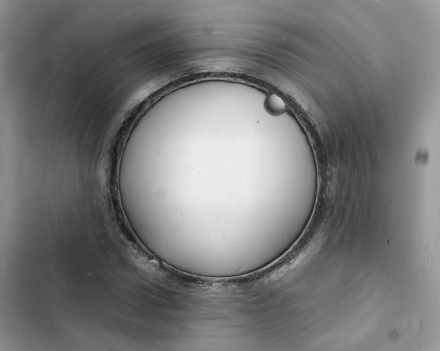 X0000103290922200809191826