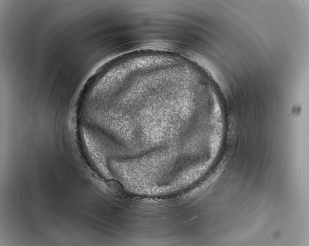 X0000103290923200809191826