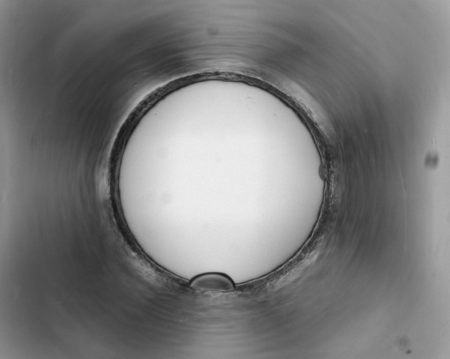 X0000103290924200809191826