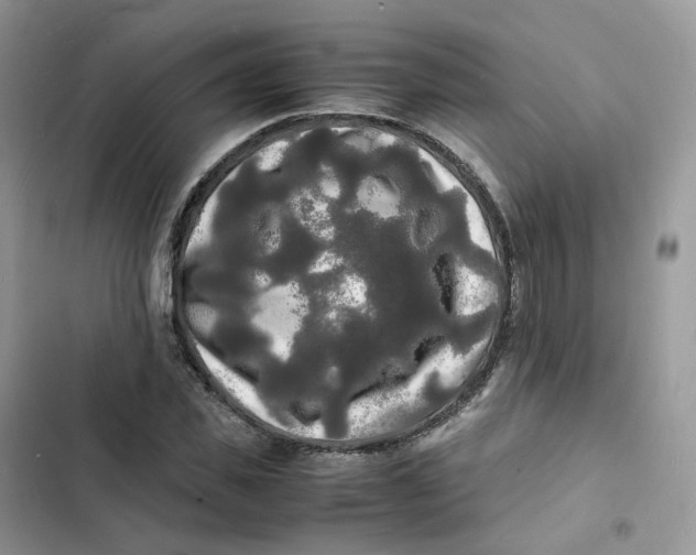 X0000103290925200809191826