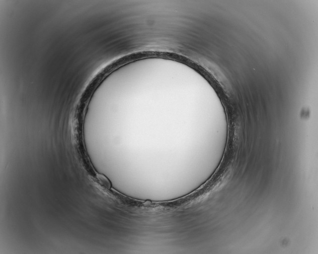 X0000103290926200809191826