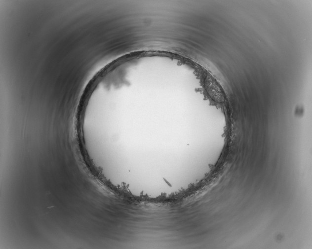 X0000103290928200809191826