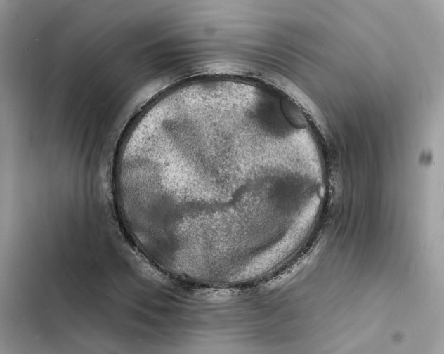 X0000103290930200809191826