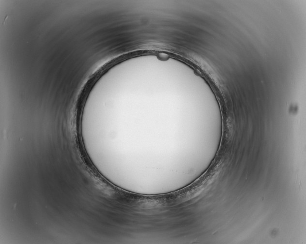 X0000103290931200809191826