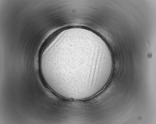 X0000103290934200809191826