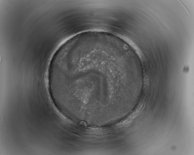 X0000103290935200809191826