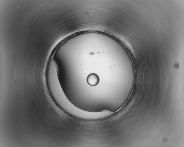 X0000103290936200809191826