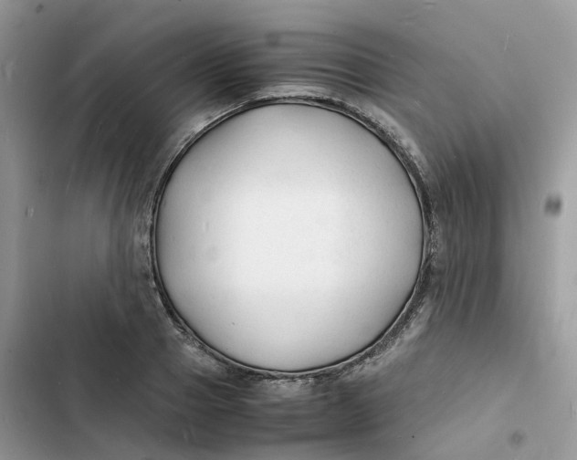 X0000103290937200809191826