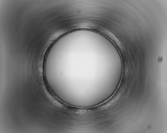 X0000103290938200809191826