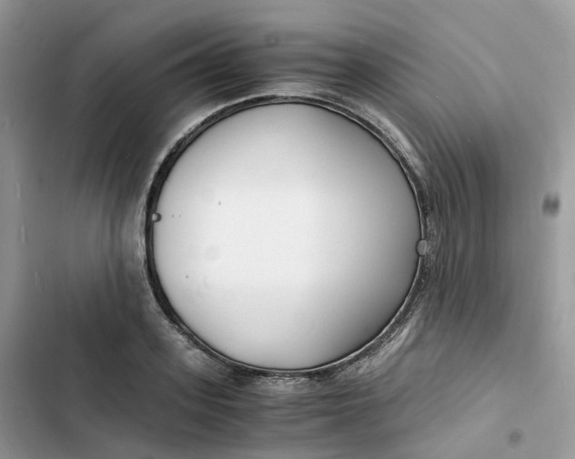 X0000103290939200809191826