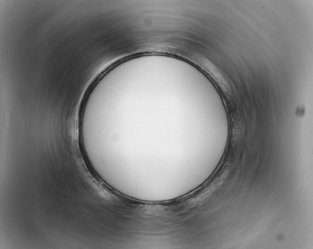 X0000103290940200809191826