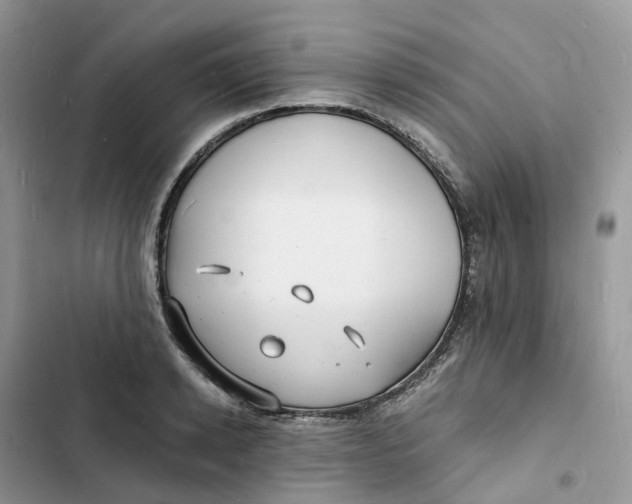 X0000103290942200809191826