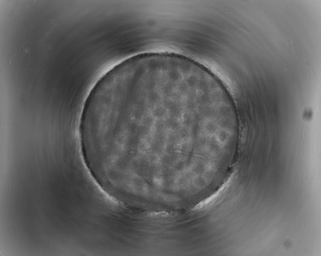 X0000103290943200809191826