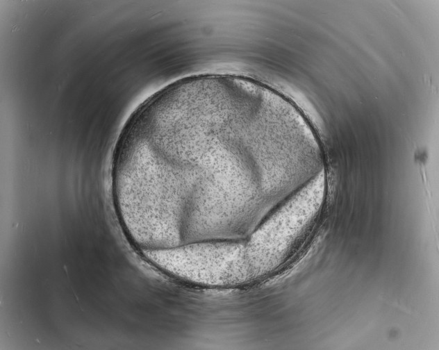 X0000103290944200809191826