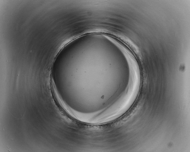 X0000103290945200809191826