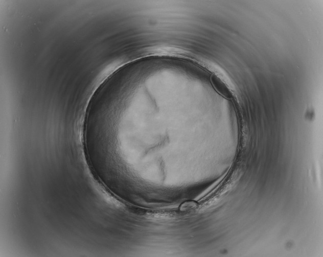 X0000103290946200809191826