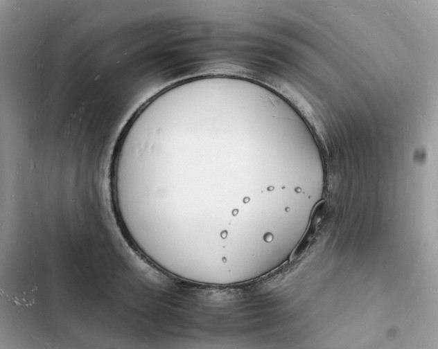 X0000103290947200809191826