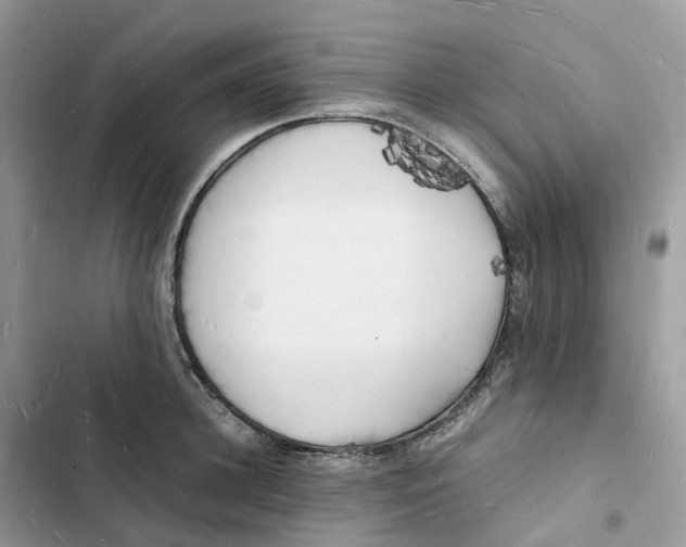 X0000103290948200809191827