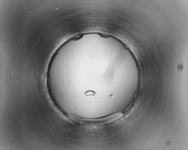 X0000103290949200809191827