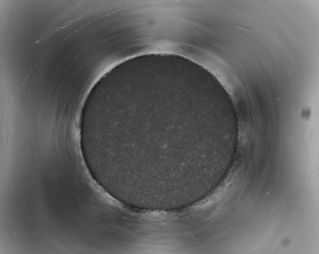 X0000103290950200809191827