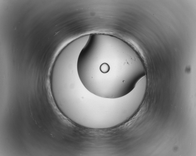 X0000103290952200809191827