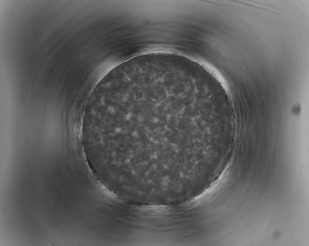 X0000103290953200809191827