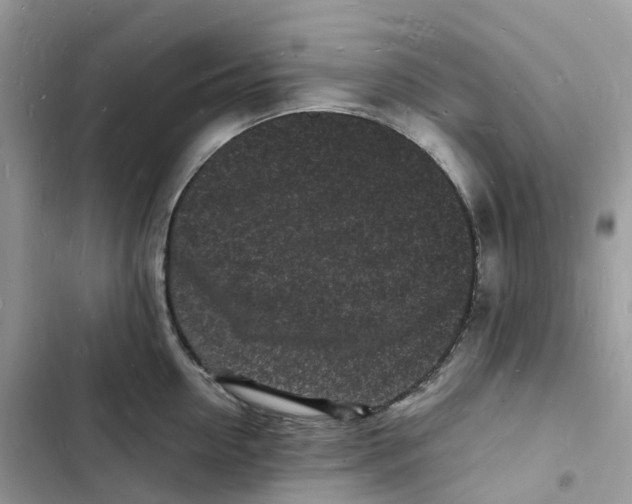 X0000103290954200809191827