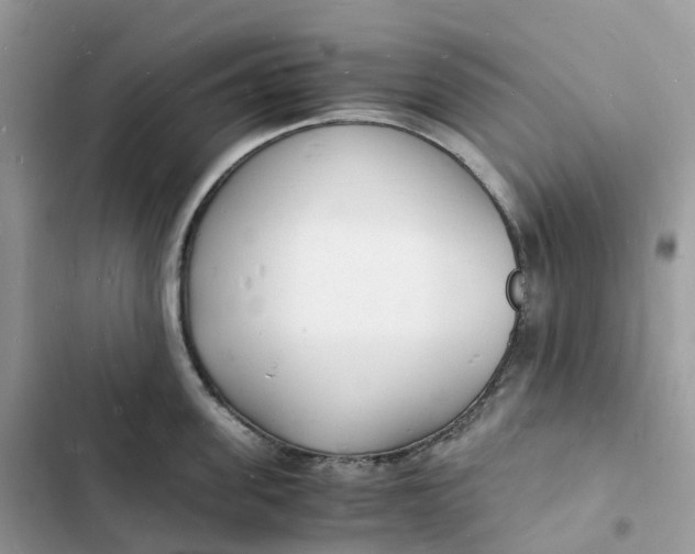 X0000103290955200809191827