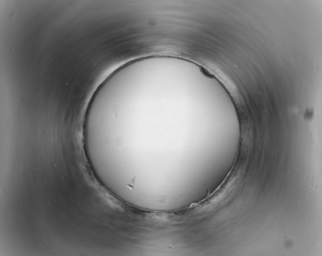 X0000103290956200809191827