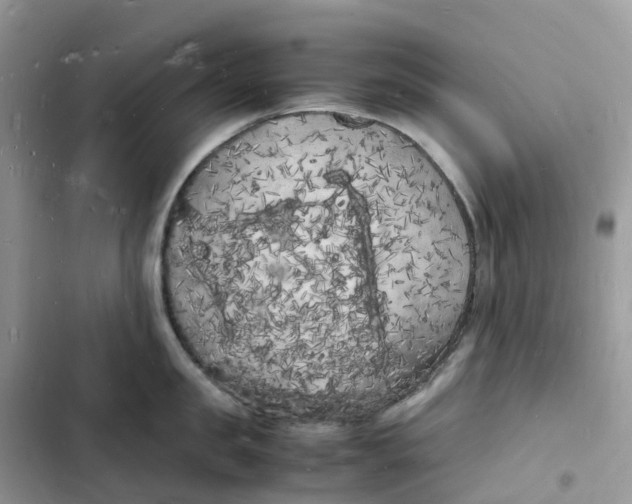 X0000103290957200809191827