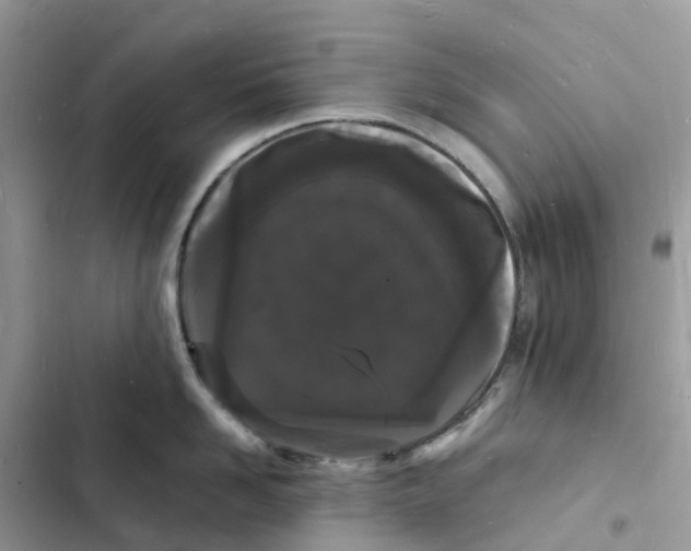 X0000103290958200809191827