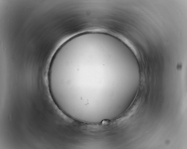 X0000103290959200809191827