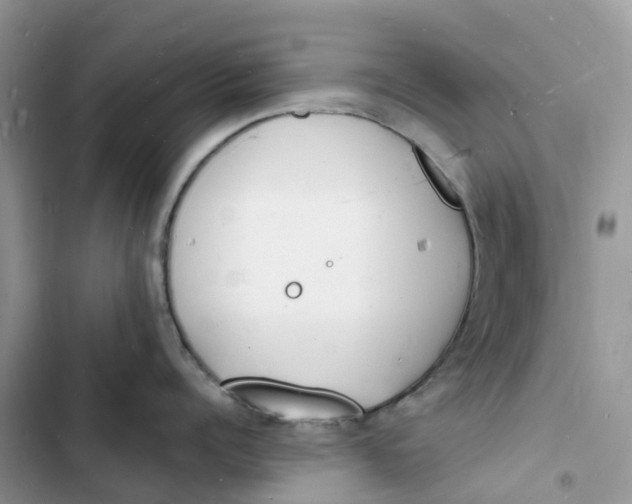 X0000103290960200809191827