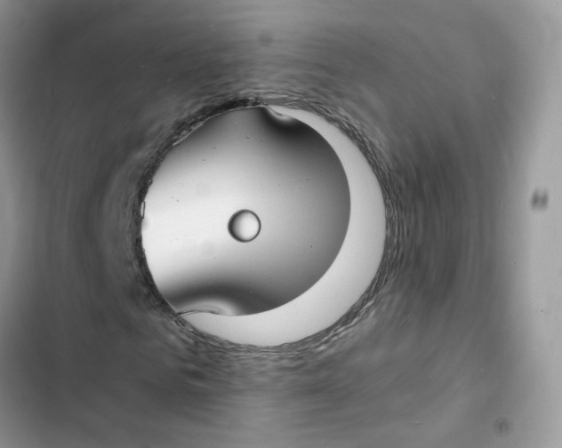 X0000103290961200809191826