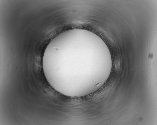 X0000103290964200809191826