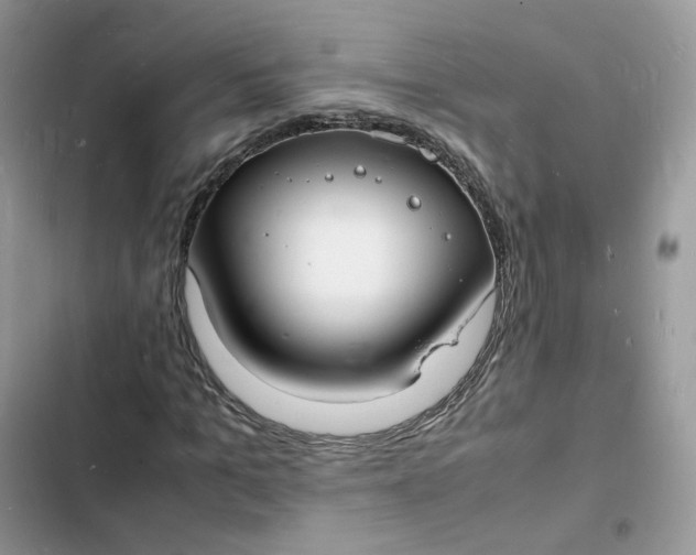 X0000103290965200809191826