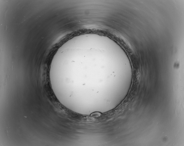 X0000103290968200809191826