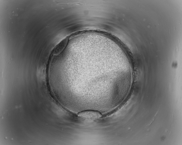 X0000103290969200809191826