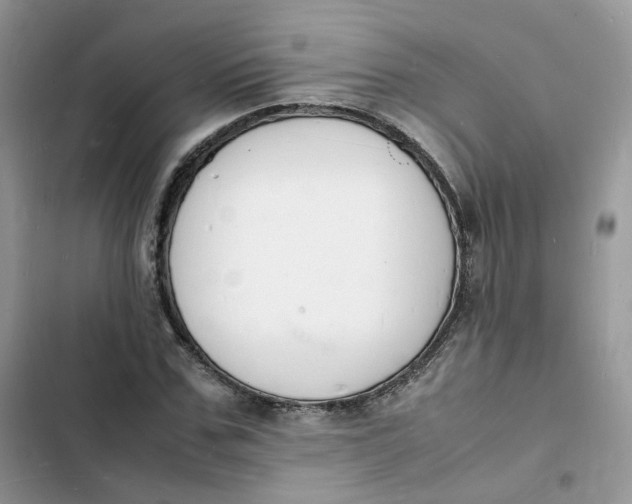 X0000103290971200809191826