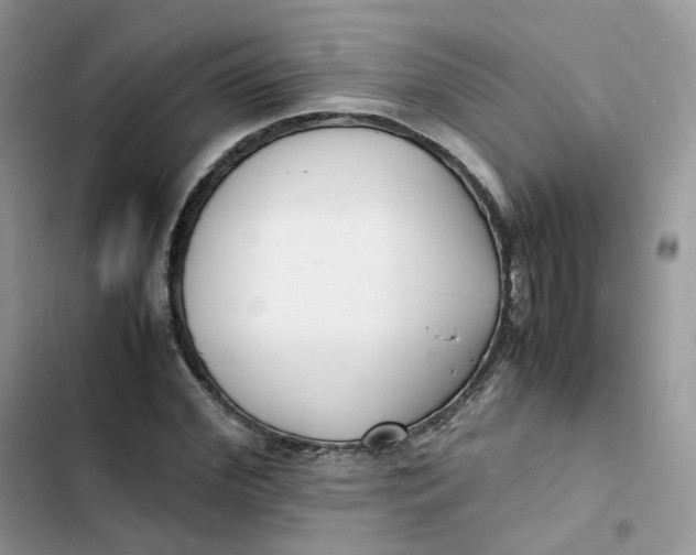 X0000103290972200809191826